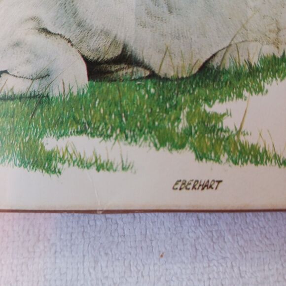 1980 American Wildlife Greeting 8 Cards From Current Vintage w Envelopes & Box - Picture 13 of 16